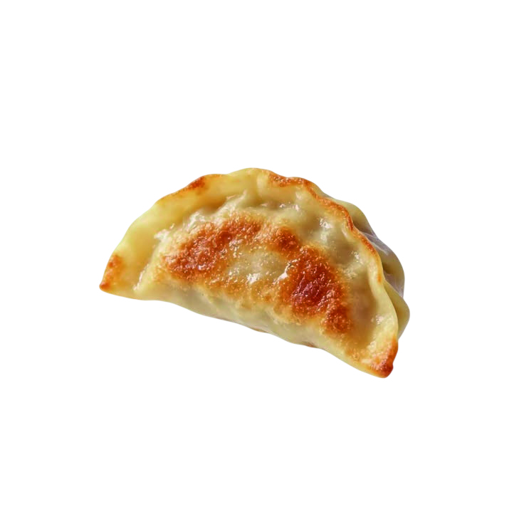 Gyoza au poulet halal (x4)